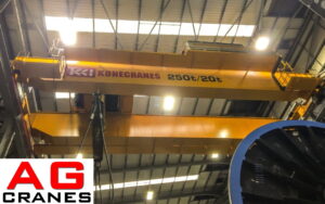 250 tonne crane for sale
